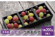 【先行受付2025年発送】信州宝石箱（ぶどうの詰め合わせ）｜ 秀果園 　※2025年9月~10月 順次発送