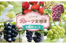 【数量限定・６回定期便】とうみのフルーツ頒布会（とちおとめ、クイーンルージュ®、ナガノパープル、種なし巨峰、シャインマスカット）