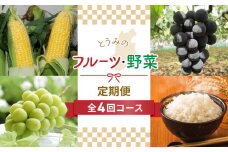 【全4回】とうみのフルーツ・野菜頒布会 | とうもろこし スイートコーン ぶどう 巨峰 シャインマスカット 新米 定期便 人気 2025 先行受付 長野県 東御市