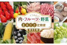 【全11回】とうみの肉・フルーツ・野菜まるごと頒布会 | いちご 鶏肉 牛肉 ソーセージ ハム とうもろこし ぶどう 巨峰 シャインマスカット 新米 定期便 人気 2025 先行予約 長野県 東御市