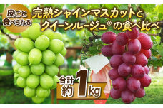 【先行受付2025年発送】皮ごと食べる2色ぶどうギフトセット（シャインマスカット、クイーンルージュ(R)）｜東御こもだ果樹園　※2025年10月上旬～10月下旬に発送予定