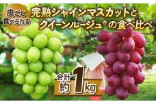 【先行受付2025年発送】皮ごと食べる2色ぶどうギフトセット（シャインマスカット、クイーンルージュ(R)）｜東御こもだ果樹園　※2025年10月上旬～10月下旬に発送予定