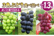 【先行受付2025年発送】皮ごと食べる３色ぶどうギフトセット（シャインマスカット、ナガノパープル、クイーンルージュ(R)）｜東御こもだ果樹園　※2025年10月上旬～10月下旬に発送予定