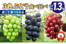 【先行受付2025年発送】皮ごと食べる３色ぶどうギフトセット（シャインマスカット、ナガノパープル、クイーンセブン）｜東御こもだ果樹園　※2025年9月下旬～10月中旬に発送予定