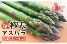 先行予約2025年発送【のららぼ農園】農家直送！新鮮！春獲れ極太（2L〜3L）アスパラ1kg（およそ20〜30本）※2025年3月下旬〜5月下旬発送予定