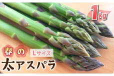 先行予約2025年発送【のららぼ農園】農家直送！新鮮！春獲れ太（L）アスパラ1kg（おおよそ30〜40本）※2025年3月下旬〜5月下旬発送予定