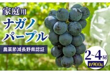 【先行受付2025年発送】家庭用ナガノパープル約900g（2~4房）　農薬節減長野県認証｜東御こもだ果樹園　※2025年9月上旬～9月下旬に発送予定