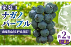 【先行受付2025年発送】家庭用ナガノパープル2kg（4~8房）農薬節減長野県認証｜東御こもだ果樹園  ※2025年9月上旬～9月下旬に発送予定