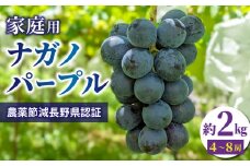 【先行受付2025年発送】家庭用ナガノパープル2kg（4~8房）農薬節減長野県認証｜東御こもだ果樹園  ※2025年9月上旬～9月下旬に発送予定