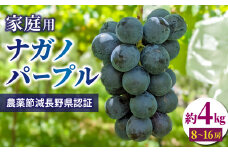 【先行受付2025年発送】家庭用ナガノパープル4kg（8~16房）農薬節減長野県認証｜東御こもだ果樹園　※2025年9月上旬～9月下旬に発送予定
