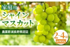 【先行受付2025年発送】家庭用シャインマスカット900g（2~4房）農薬節減長野県認証｜東御こもだ果樹園　※2025年9月下旬～10月下旬に発送予定