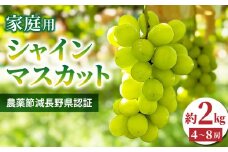 【先行受付2025年発送】家庭用シャインマスカット2㎏（4~8房）農薬節減長野県認証｜東御こもだ果樹園  ※2025年9月下旬~10月下旬に発送予定