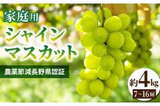 【先行受付2025年発送】家庭用シャインマスカット4㎏（7~16房）農薬節減長野県認証｜東御こもだ果樹園  ※2025年9月下旬~10月下旬に発送予定