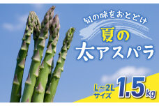 先行予約2025年発送予定【のららぼ農園】農家直送！新鮮！夏獲れ太（L〜2L）アスパラ1.5kg（およそ35〜50本）※2025年7月上旬〜9月上旬発送予定