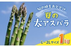 先行予約2025年発送【のららぼ農園】農家直送！新鮮！夏獲れ太（L〜2L）アスパラ1kg（およそ25〜35本）※2025年7月上旬〜9月上旬発送予定