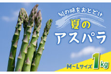 先行予約2025年発送【のららぼ農園】農家直送！新鮮！夏獲れ細（M〜L）アスパラ1kg（およそ35〜50本）※2025年7月上旬〜9月上旬発送予定