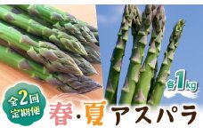 先行予約2025年発送【2回定期便】農家直送！新鮮！春獲れ・夏獲れ　太アスパラ各1kg（合計2kg）