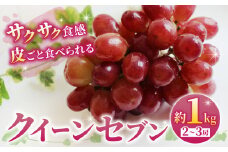 先行予約2025年発送【あおさく農園】皮ごと食べられるクイーンセブン2～3房（約1kg）※2025年9月以降発送予定｜農薬削減