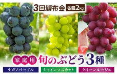 【先行受付2025年発送】家庭用旬の3種のぶどう3回頒布会（シャインマスカット、ナガノパープル、クイーンルージュ(R)）各回2kg｜東御こもだ果樹園 ※2025年9月以降発送予定