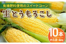 有機肥料使用のスイートコーン！ 生とうもろこし 2L 10本 長野県東御市産 ※7月上旬から順次発送予定
