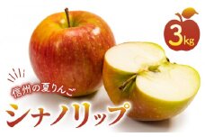 東御市産りんご長野県生まれのジューシーな「シナノリップ」3kg ※8月上旬～9月上旬ごろお届け予定