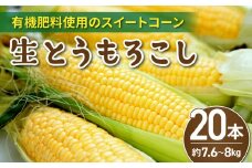 有機肥料使用のスイートコーン！ 生とうもろこし 2L 20本 長野県東御市産 ※7月上旬から順次発送予定
