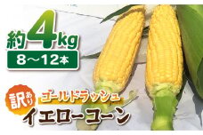 【先行受付2025年発送】訳あり東御市産とうもろこし（ゴールドラッシュ）約4kg（8〜12本）｜スイートコーン ※2025年7月上旬頃〜9月中旬頃に順次発送予定※着日指定不可
