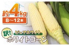 【先行受付2025年発送】訳あり東御市産とうもろこし（ピュアホワイト）約4kg（8〜12本） | スイートコーン※2025年7月上旬頃〜9月中旬頃に順次発送予定※着日指定不可