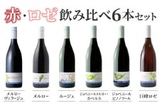 【アルカンヴィーニュ】赤・ロゼワイン　飲み比べ６種６本セット