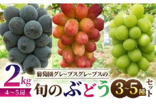 【葡萄園グレープスグレープス】旬の葡萄の詰め合わせ 約2kg（3〜5品種、4〜5房）｜シャインマスカット、クインニーナ、ピオーネ、ゴルビー、サニードルチェ、雄宝、バイオレットキング、クイーンルージュ(R)、カッタクルガン、ルーベルマスカット、紅環など　※2025年9月下旬以降発送予定