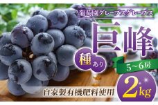 【葡萄園グレープスグレープス】種あり巨峰 約2kg（5～6房）