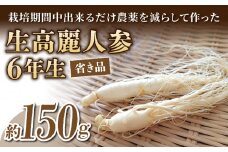 【長野県東御市産】栽培期間中出来るだけ農薬を減らして作った国産生高麗人参 6年生 約150ｇ（省き品）（2024年9月下旬〜10月頃お届け予定）