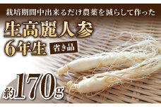 【長野県東御市産】栽培期間中出来るだけ農薬を減らして作った国産生高麗人参 6年生 約170ｇ（省き品）（2024年9月下旬〜10月頃お届け予定）