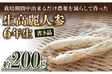 【長野県東御市産】栽培期間中出来るだけ農薬を減らして作った国産生高麗人参 6年生 約200ｇ（省き品）（2024年9月下旬〜10月頃お届け予定）