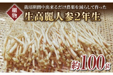 【長野県東御市産】栽培期間中出来るだけ農薬を減らして作った国産生高麗人参 2年生 細物 約100g（2024年10月中旬〜12月上旬頃お届け予定）