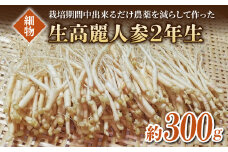 【長野県東御市産】栽培期間中出来るだけ農薬を減らして作った国産生高麗人参 2年生 細物 約300g（2024年9月下旬〜12月上旬頃お届け予定）