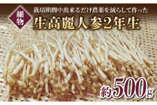 【長野県東御市産】栽培期間中出来るだけ農薬を減らして作った国産生高麗人参 2年生 細物 約500g（2024年9月下旬〜12月上旬頃お届け予定）