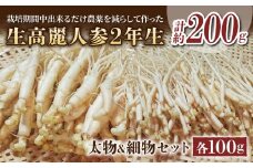 【長野県東御市産】栽培期間中出来るだけ農薬を減らして作った国産生高麗人参 2年生 太物＆細物のセット 約200g（2024年10月中旬〜12月上旬頃お届け予定）