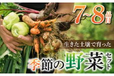【里山JAPAN】長野県東御市産生きた土壌で育った『季節の野菜セット』（7〜8品目）｜2025年7月から発送開始