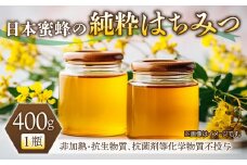 【 非加熱・抗生物質、抗菌剤等化学物質不投与 】日本みつばちの純粋はちみつ400g｜ 新蜜 天然  長野県東御市産 国産
