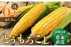 農家直送！バイカラーとうもろこし６本