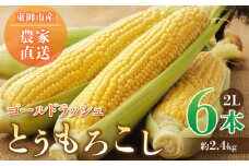 農家直送！とうもろこし（ゴールドラッシュ）６本