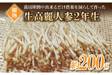 【長野県東御市産】栽培期間中出来るだけ農薬を減らして作った国産生高麗人参 2年生 細物 約200g（2024年10月中旬〜12月上旬頃お届け予定）