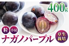 ナガノパープル 400g(粒など) 