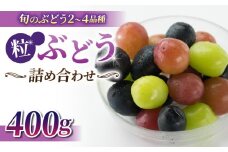 旬の高級ぶどう 粒ぶどうの詰め合わせ 400ｇ