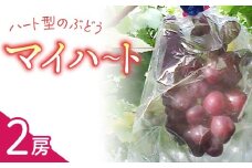 マイハート2房 ご贈答品 高級葡萄