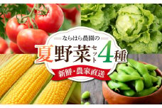 【ならはら農園】新鮮！夏野菜のセット（トマト、枝付き枝豆、とうもろこし、葉物野菜）※2025年8月上旬以降発送