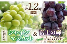 【数量限定！】東御市産シャインマスカット＆富士の輝きのセット｜長野県 長野 人気 ぶどう 贈答用 ギフト ２房 フルーツ 果物 おすすめ 厳選 種無し 皮ごと 希少品種