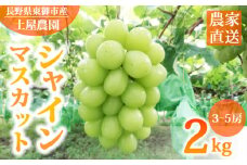 先行受付2025年発送【土屋農園】農家直送！シャインマスカット2Kg（3〜5房）※2025年9月下旬～10月中旬順次発送