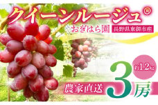 先行受付2025年発送【おぎはら園】農家直送！朝採れクイーンルージュ®️３房（約１.２kg）※2025年9月下旬～10月中旬順次発送